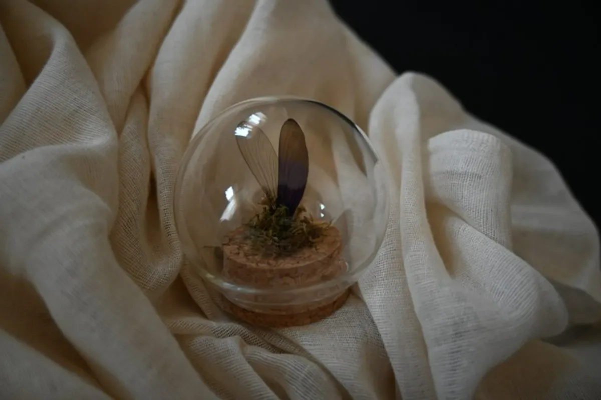 Product: Handmade Damselfly Wing Dome